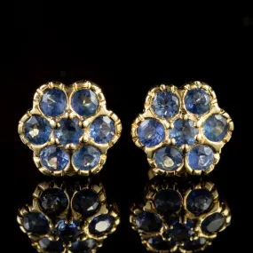 Sapphire Cluster Stud Earrings 9Ct Gold